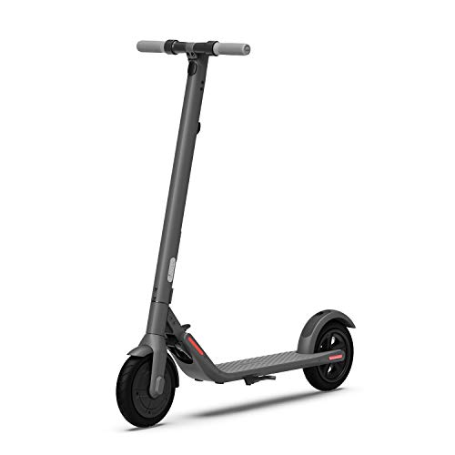 Segway Ninebot E22 E45 Electric Kick Scooter, Lightweight and Foldable, Upgraded Motor...