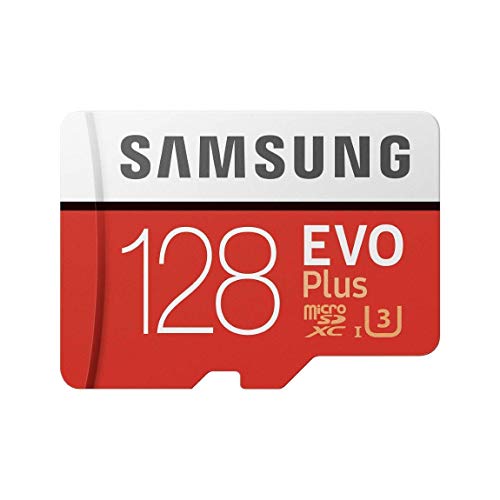Samsung EVO Plus Class 10 Micro SDXC