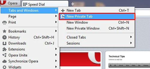 How to enable private browsing in Opera  - 6