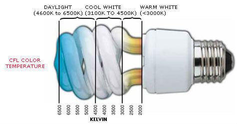 Fluorescent Lamp Color Temperature Chart