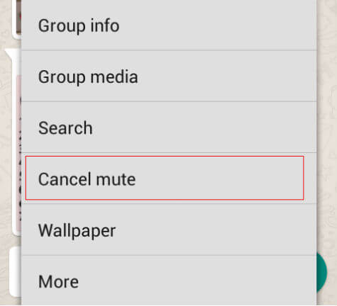 mute Whatsapp messages