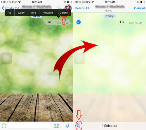 Hide Blue Tick to Fake WhatsApp Sender by Keeping Read Receipts - 89