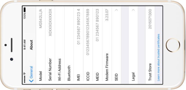 iphone6 about screen IMEI