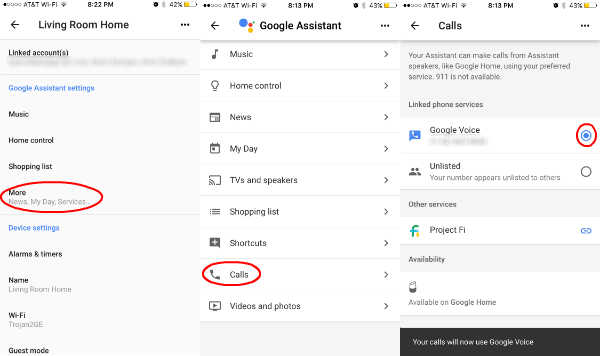 Google Home to Google Voice Number