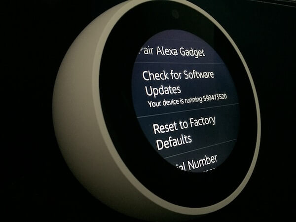 Echo Spot Reset Factory Default