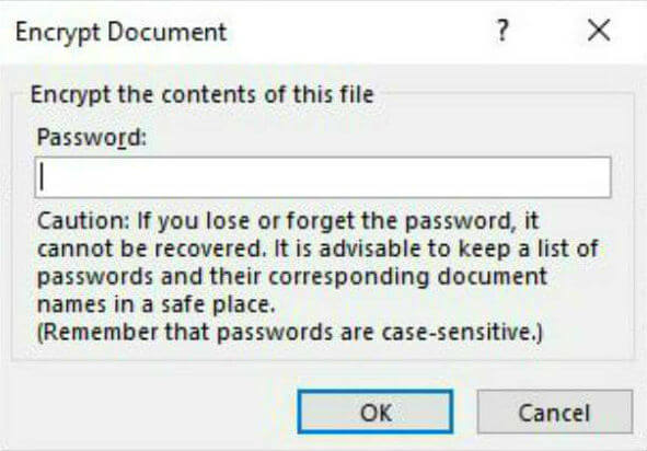 Ms office document encryption