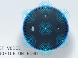 Set Voice Profile on Echo