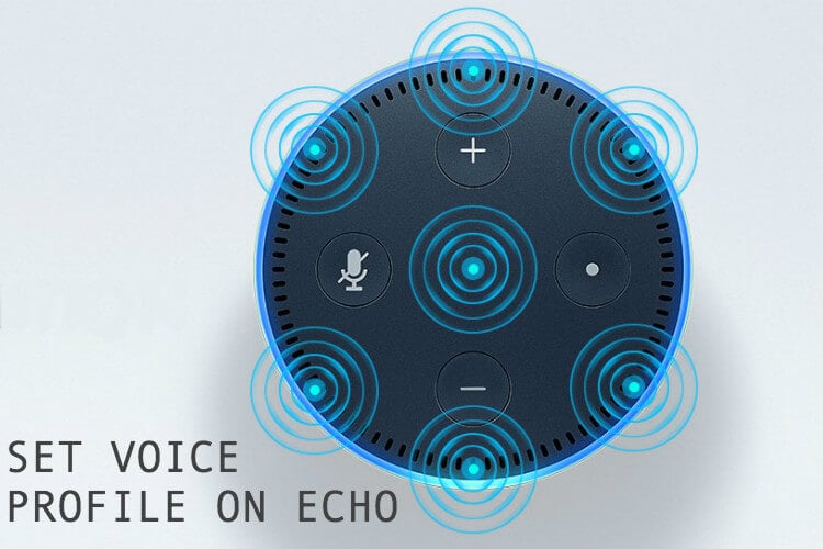Set Voice Profile on Echo Set Voice Profile on Echo