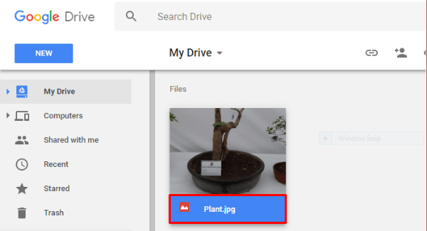 Google Drive File Ext Rename
