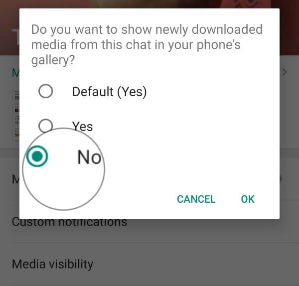 How to Stop WhatsApp Saving Photos on Android Gallery  - 67