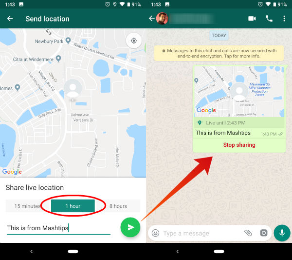 How To Share Live Location On WhatsApp MashTips