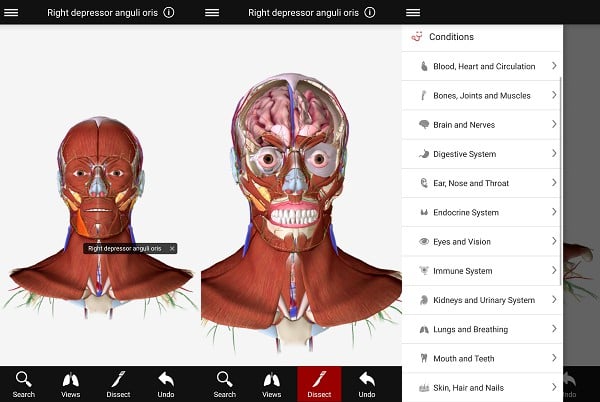 android BioDigital Human - 3D Anatomy