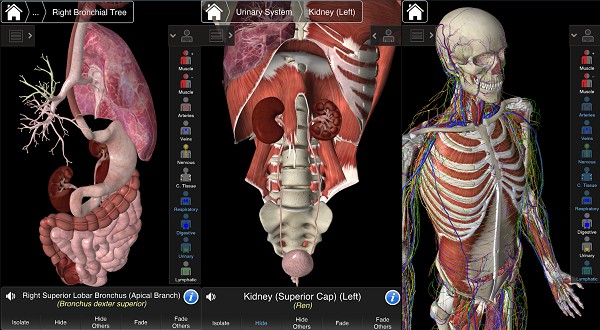 10 Android Apps to Learn Human Anatomy - 11