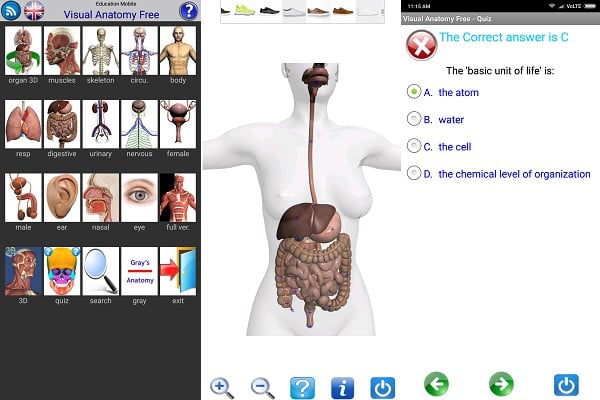 android Visual Anatomy Free