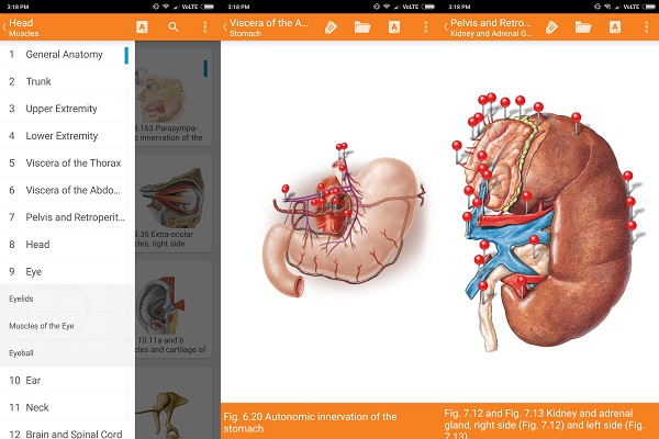 10 Android Apps to Learn Human Anatomy - 36