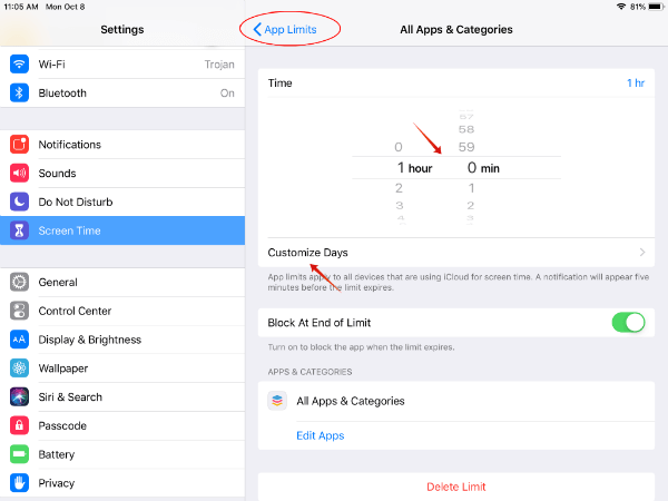 iPad Set app limit