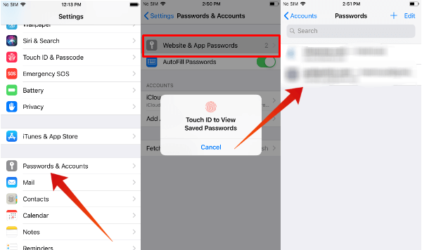 iphone view saved passwords