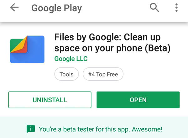 How to get files by Google