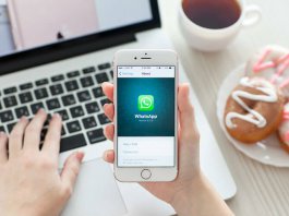 Integrate WhatsApp Business to my Website or Facebook