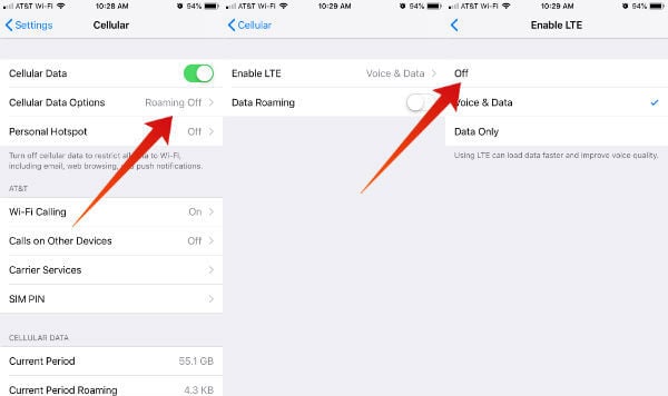 iPhone Disable LTE