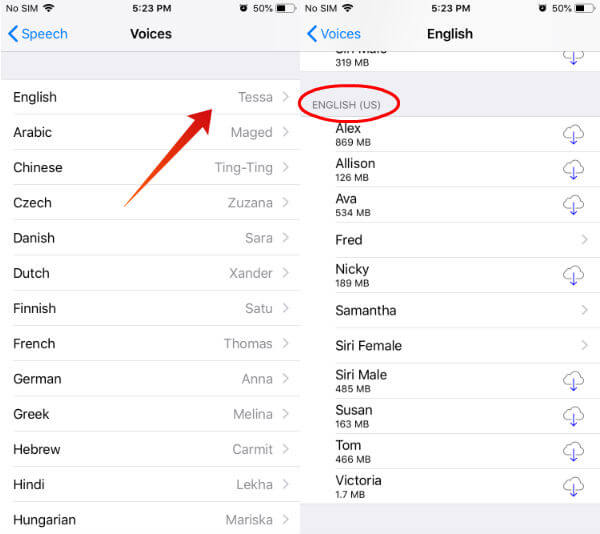 iPhone set voice for speak screen