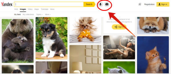 Yandex Reverse image search