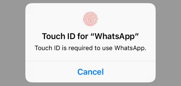 Use Touch ID or Face ID to Lock WhatsApp on iPhone - 29