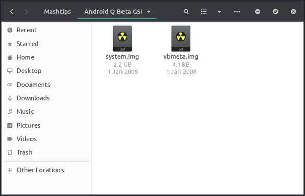 How to Install Android Q Beta on Project Treble Devices - 45