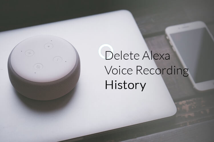 How to Delete Alexa Voice Recording History How to Delete Alexa Voice Recording History