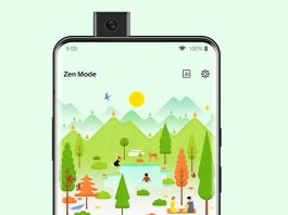 Use Zen Mode On OnePlus 7 Pro And Other OnePlus Devices-F