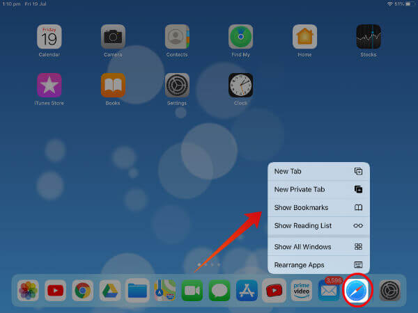 iPad App expose