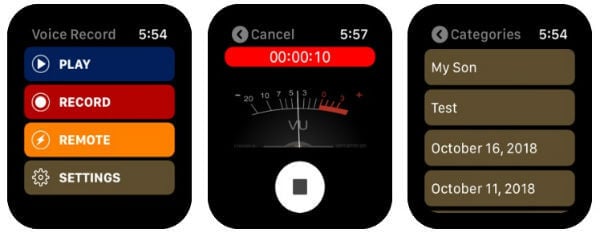 8 Best Voice Recorder Apps for Apple Watch to take Voice Notes - 4