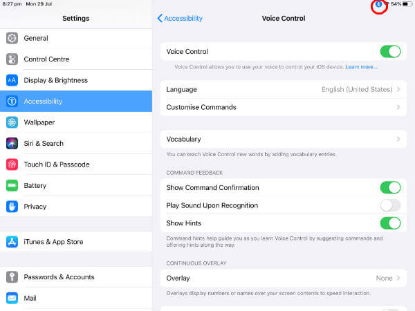 iPad voice control menu