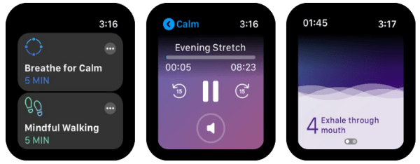 10 Best Apple Watch Meditation   Relaxation Apps - 20