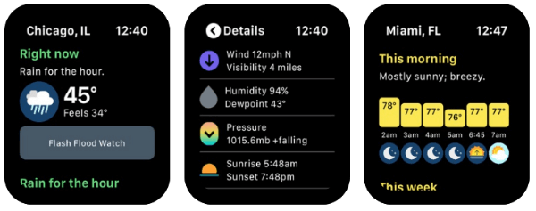 10 Best Apple Watch Weather Apps for Local Alerts - 78