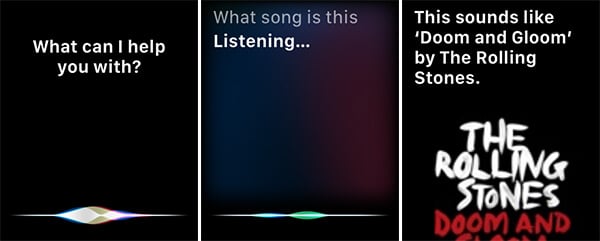 Identify Music using Siri Shazam Music Identifier on Apple Watch