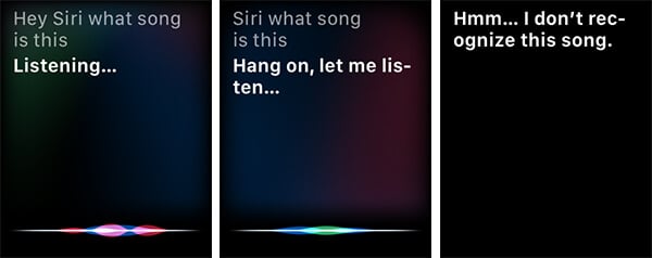 How to Identify Song on Apple Watch Using Siri - 20