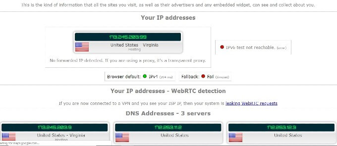 WebRTC DNSLeak