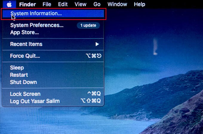 Click SYstem Information from Mac Menu Press Option