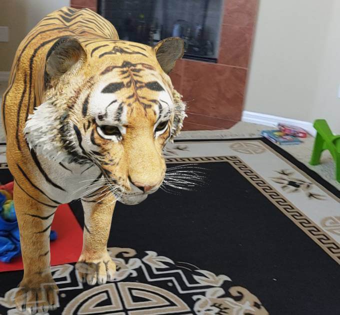 Google 3D Animal Tiger