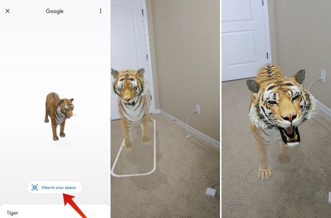 Google 3D Live Animal Tiger