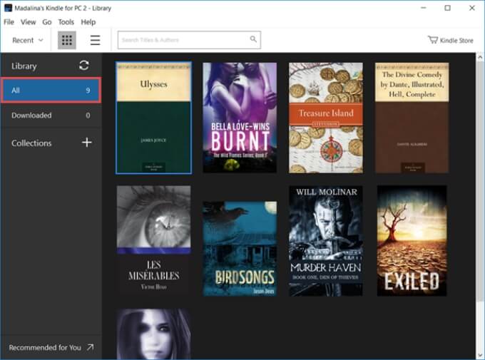 Kindle ePub reader app for Windows