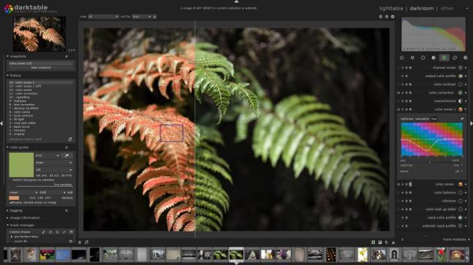 darktable Adobe Lightroom alternative for Linux