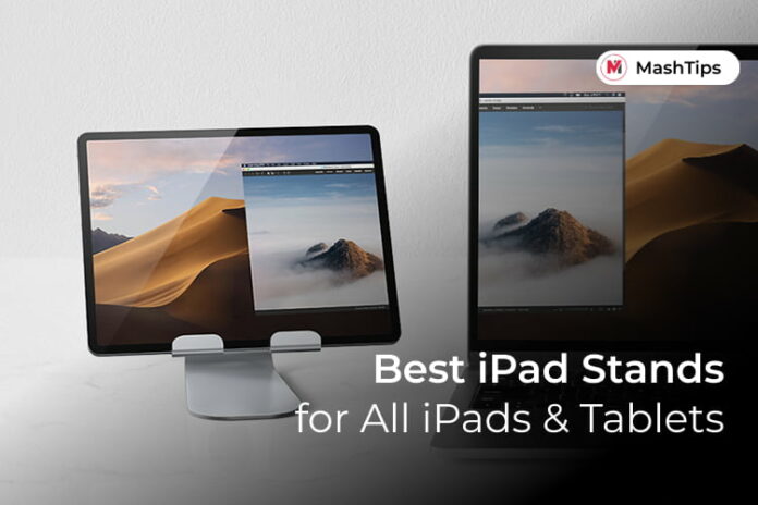 Best iPad Stands for All iPad Models