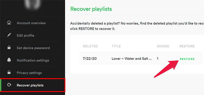 How to Recover Deleted Playlist on Spotify - 35