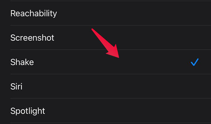 Back Tap to Undo on iPhone Select Shake Action