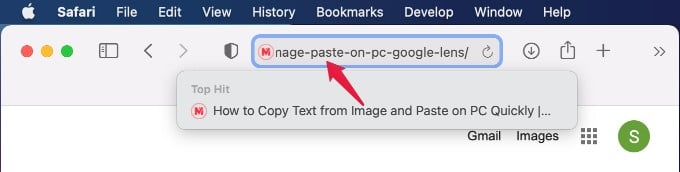 paste copied url in virtualmachine