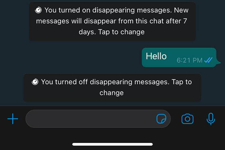 Send Disappearing Messages on WhatsApp iPhone and Android