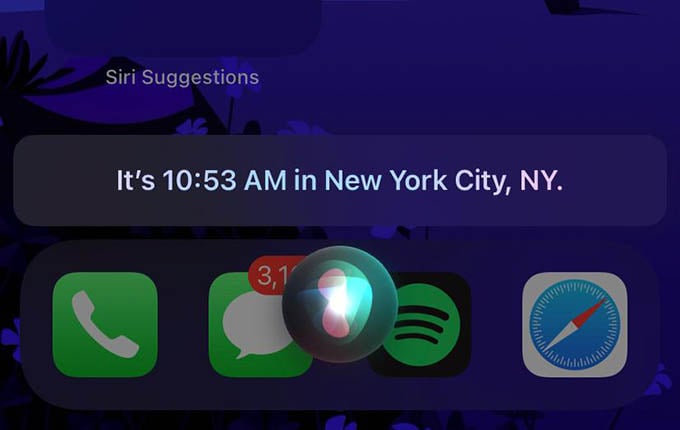 How to Enable Captions for Siri on iPhone - 26