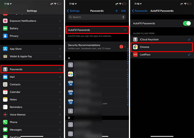 How to Autofill Passwords on iPhone from Google Password Manager - 14